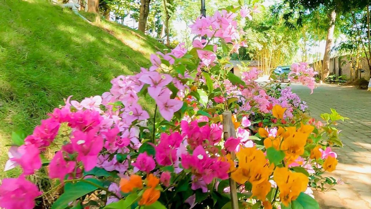 Bougainvillea Retreat & Spa Kaharpara Exterior foto